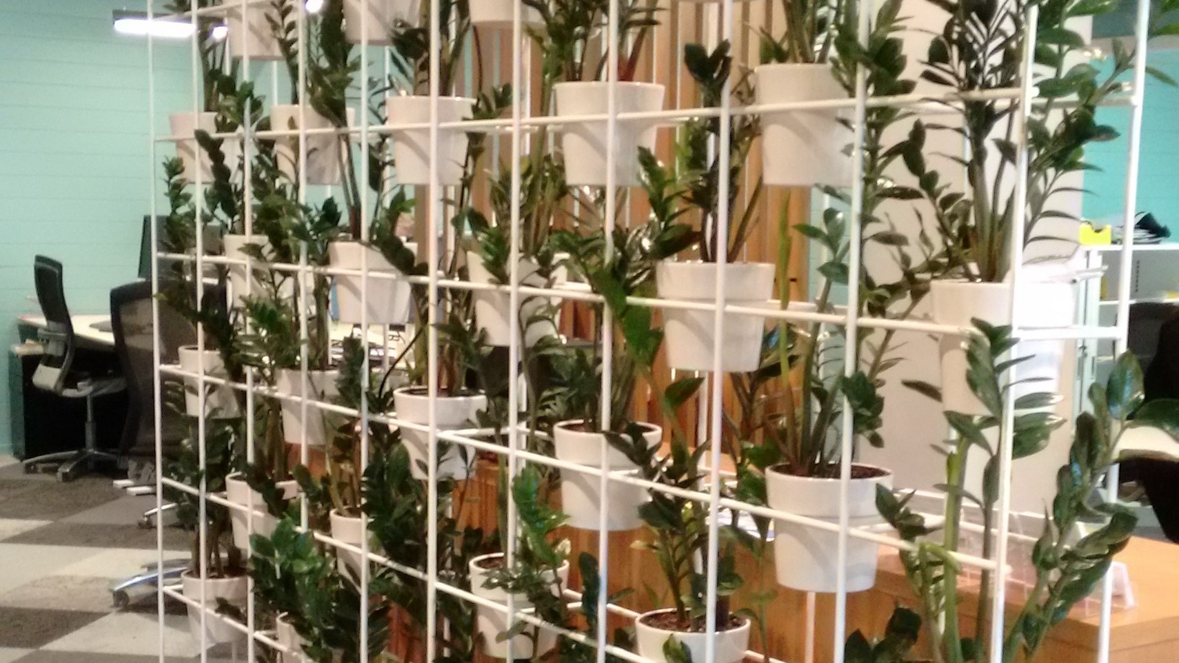 Plant Wall edited 2017